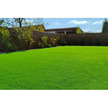 Wise 25mm - Holland Pázsit Műfű