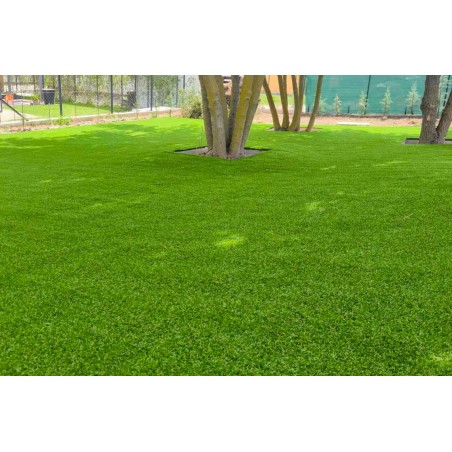 Cairo 35mm - Holland Pázsit Műfű