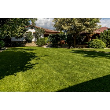 Extavert Dark 45mm -...