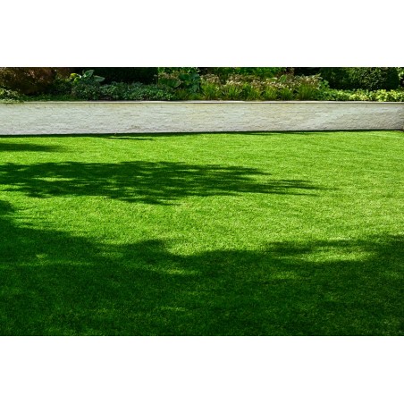 Soft Touch 50mm - Holland Pázsit Műfű