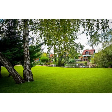 Extravert 45mm - Holland...