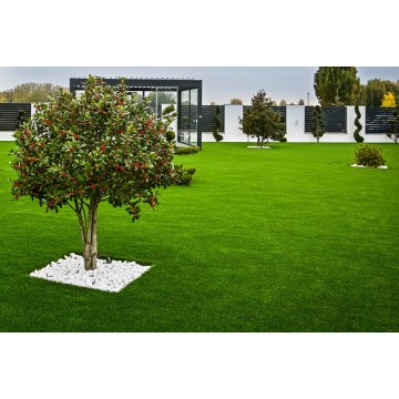 Wellness 40mm - Holland...