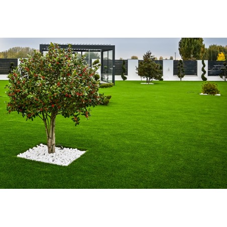 Wellness 40mm - Holland Pázsit Műfű