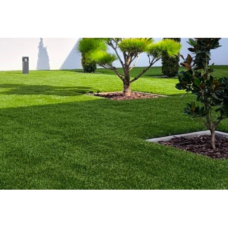 Royal Zafira 42mm - Holland Pázsit Műfű