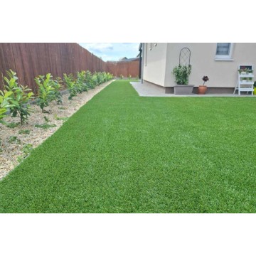 New Ambassador 50mm -...