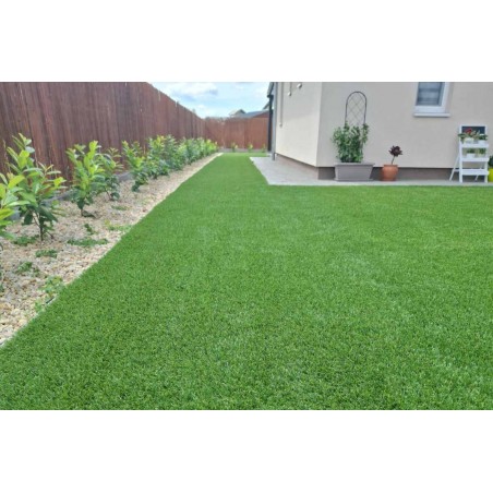 New Ambassador 50mm - Holland Pázsit Műfű