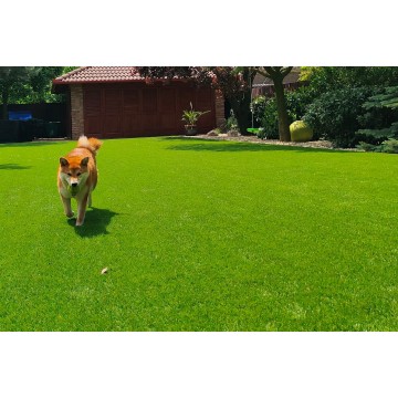 New Ambassador 60mm -...