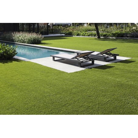 Royal Lush 42mm - Holland Pázsit Műfű