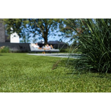 Royal Bloom 52mm - Holland...