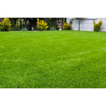 Royal Blossom 50mm -...