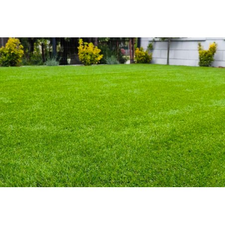 Royal Blossom 50mm - Holland Pázsit Műfű