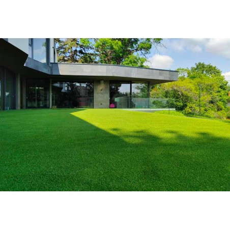 Royal Elite 35mm - Holland Pázsit Műfű