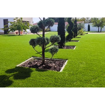 Royal Optima 52mm - Holland...