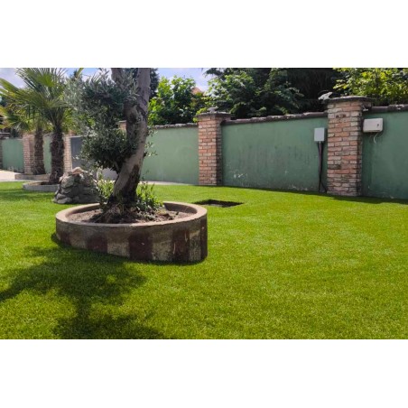 Royal Bliss 52mm - Holland Pázsit Műfű